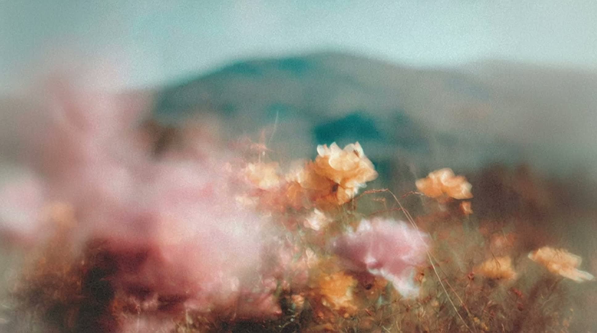 Flores, color y nuevas posibilidades