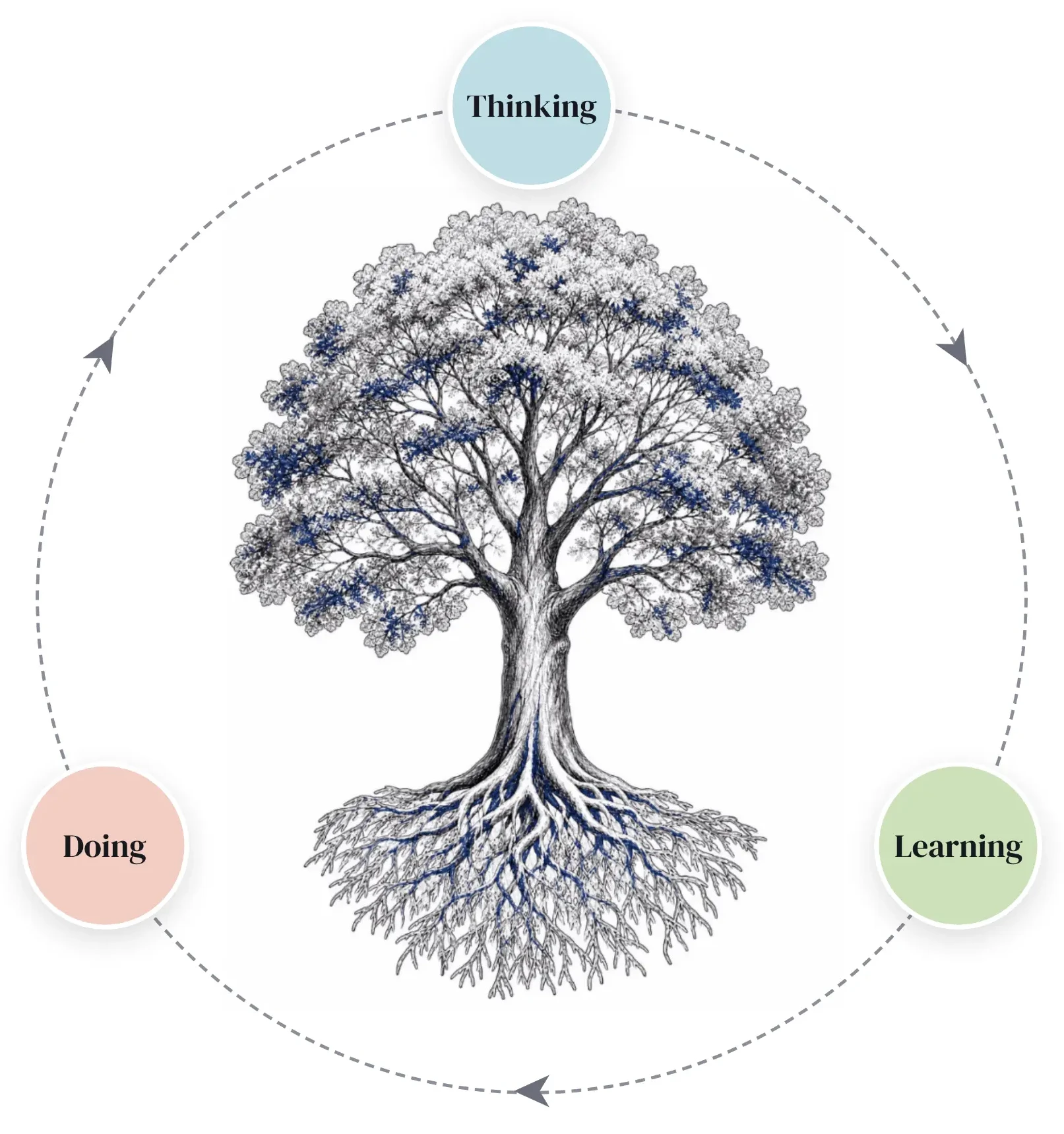Árbol con copa, tronco y raíces rodeado por el ciclo Thinking, Learning y Doing